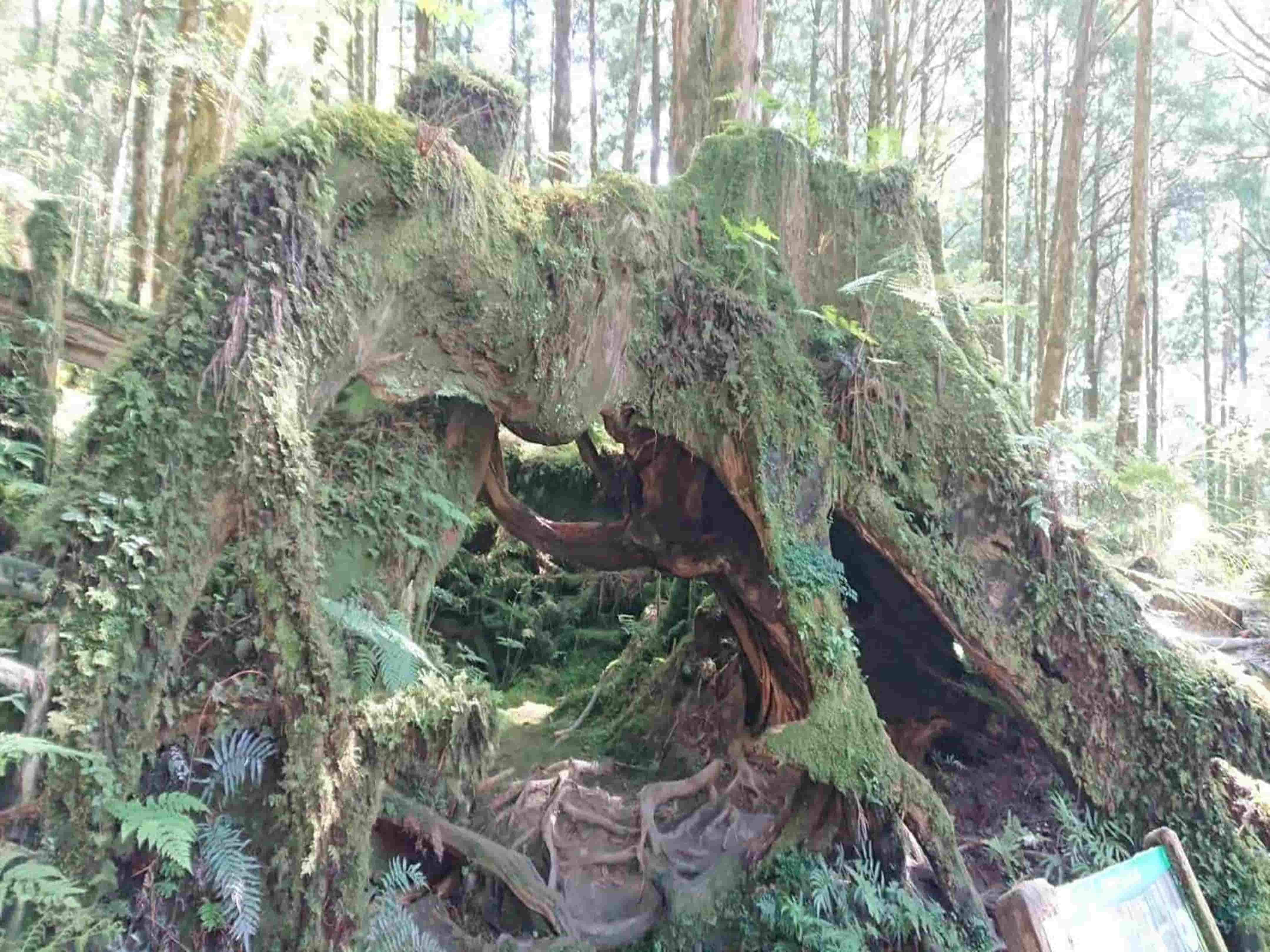 抱歉圖還沒有準備好